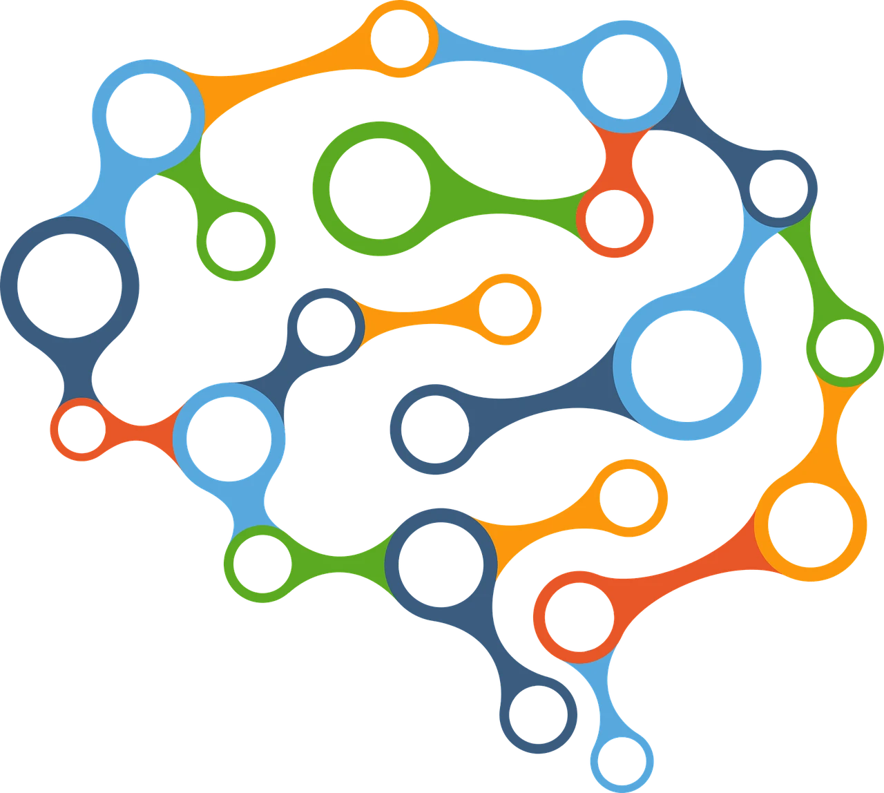 Brain